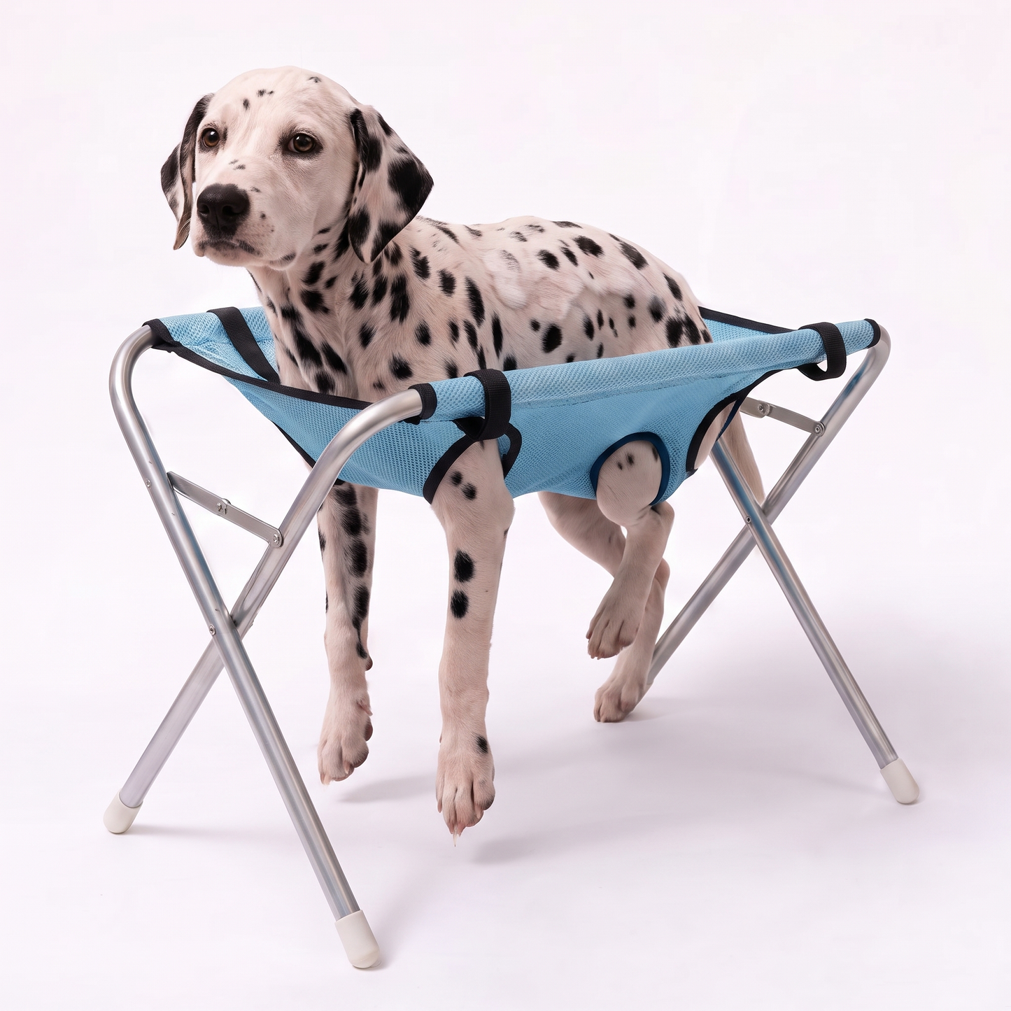 SpaPaws Hammock - Pet Grooming Hammock